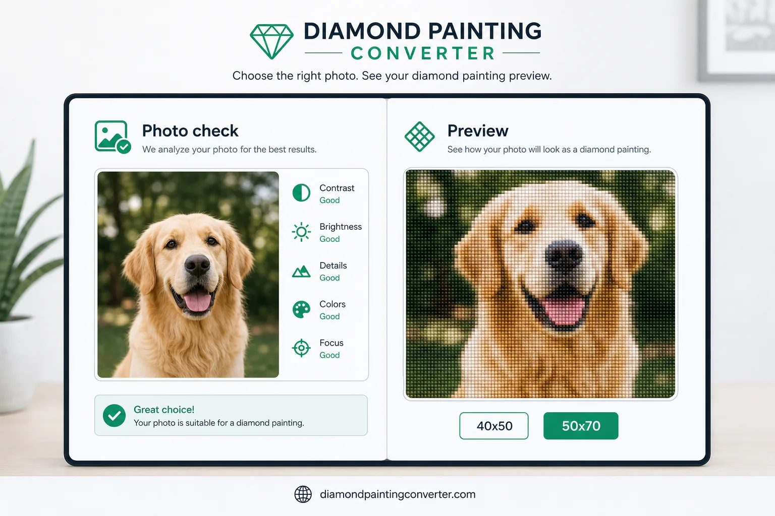 Photo suitability check next to a diamond painting preview